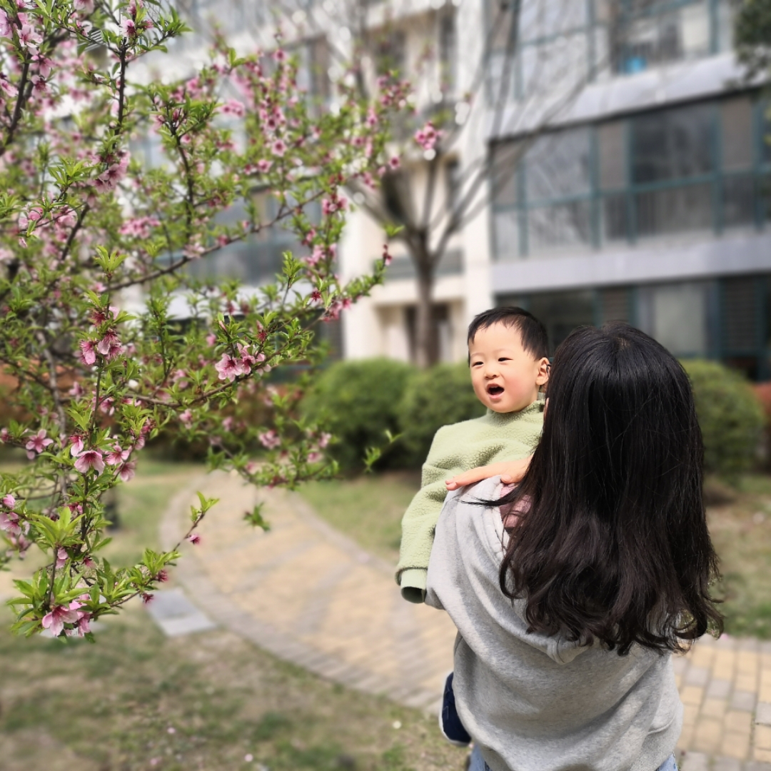 团宝么么哒的厨房