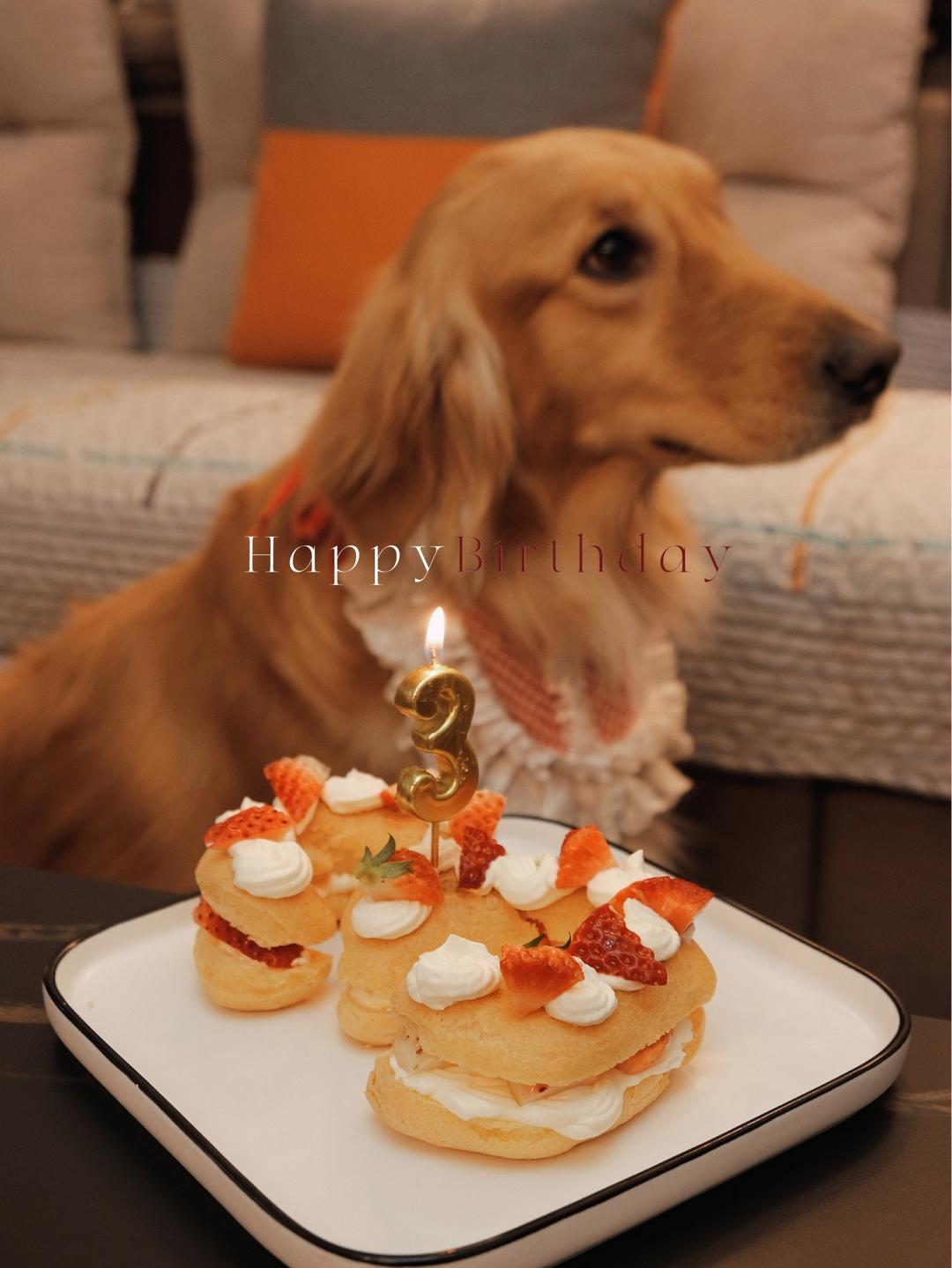 狗狗零食之狗狗泡芙蛋糕（不喜欢狗不要点）