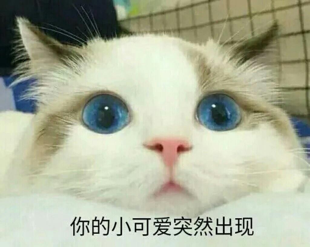 蔓越莓饼干的做法