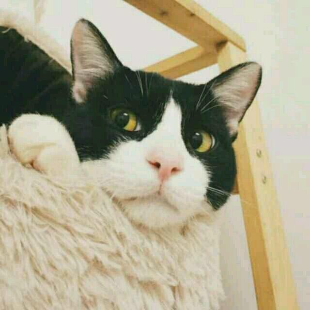 不要喜过头