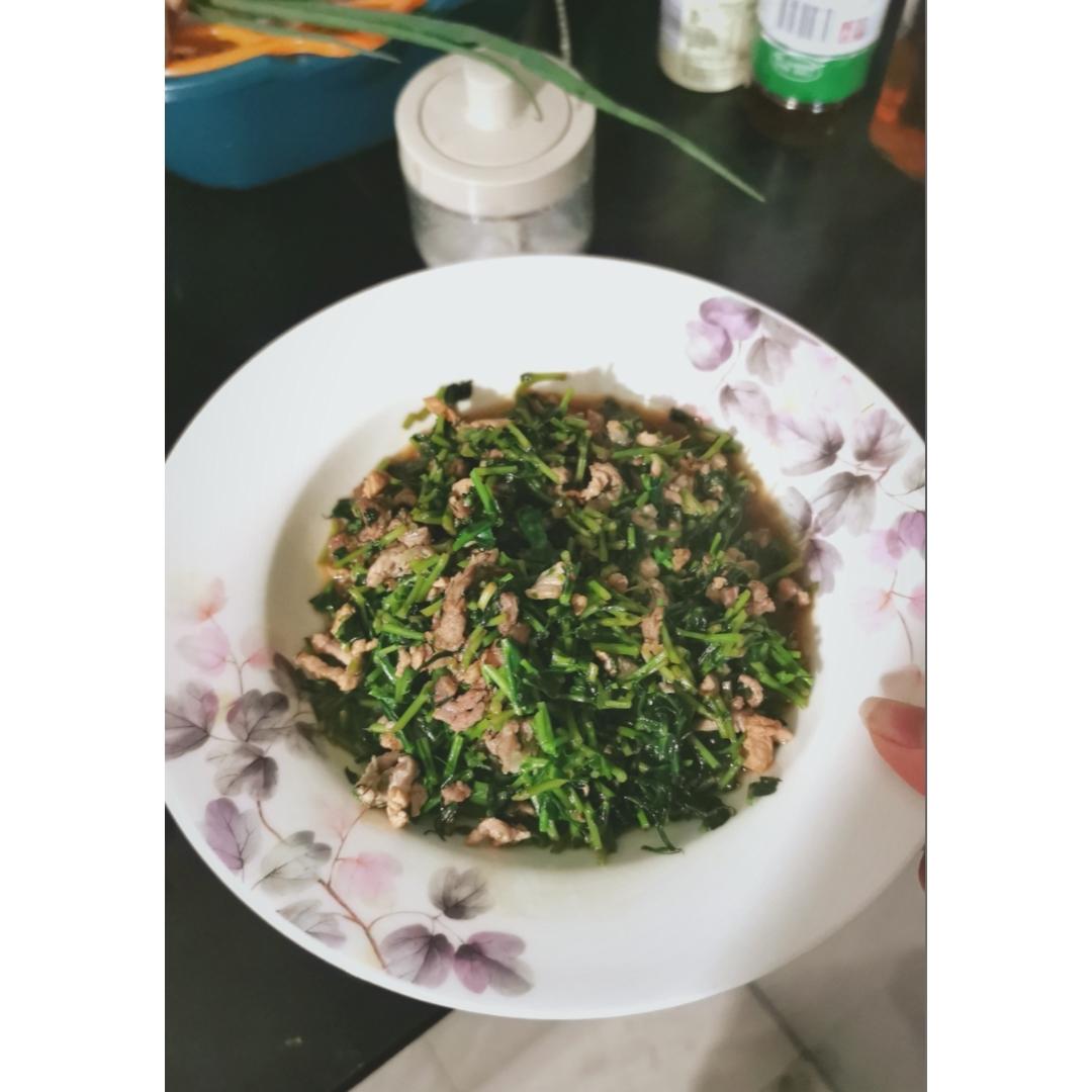 水培豌豆苗炒肉丝