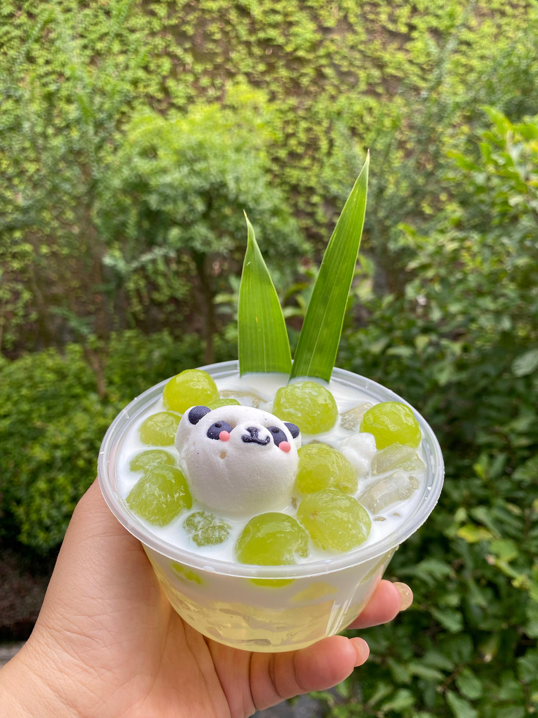 一瓶汽水做冰粉‼️熊猫花花椰汁冰粉🐼