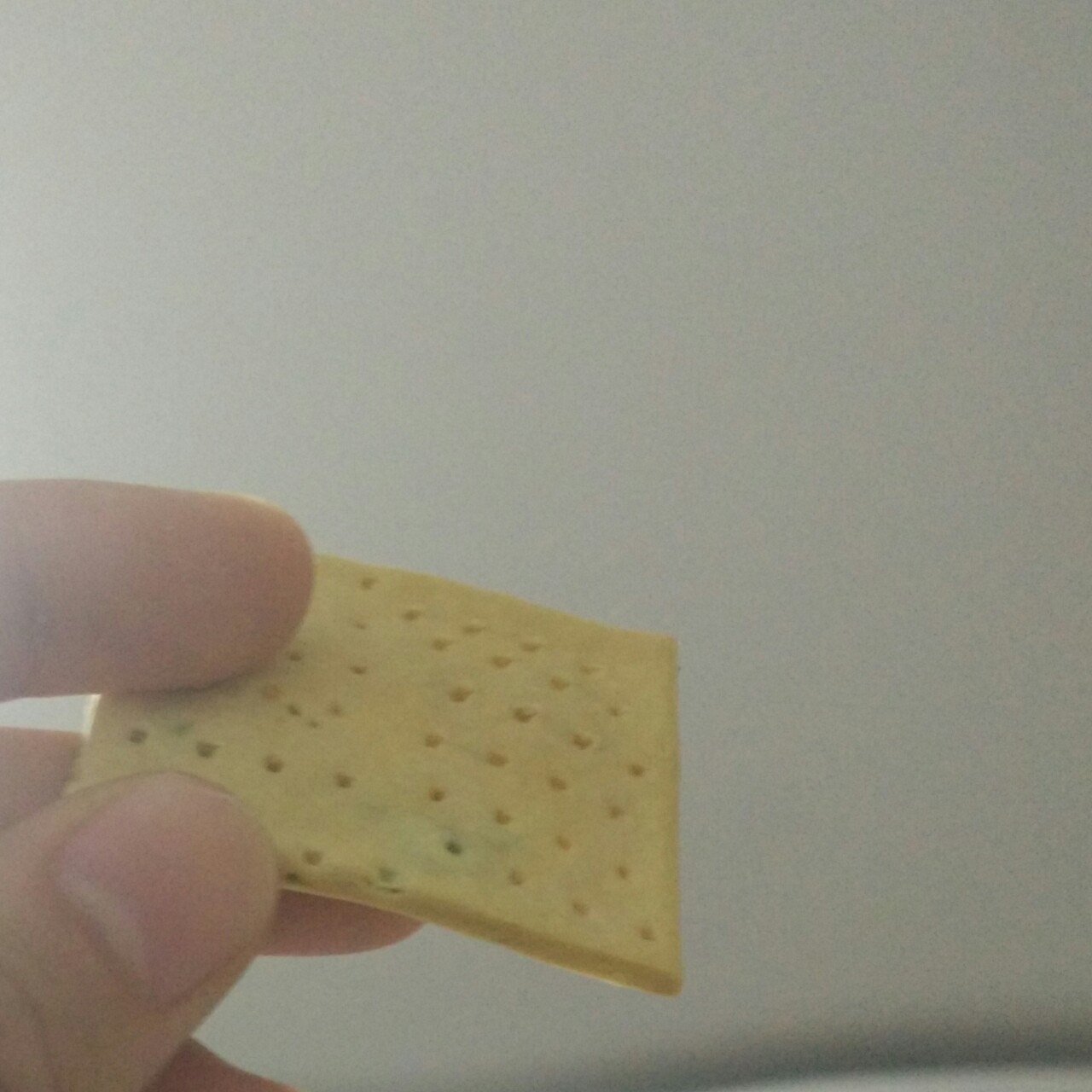 香葱苏打饼干