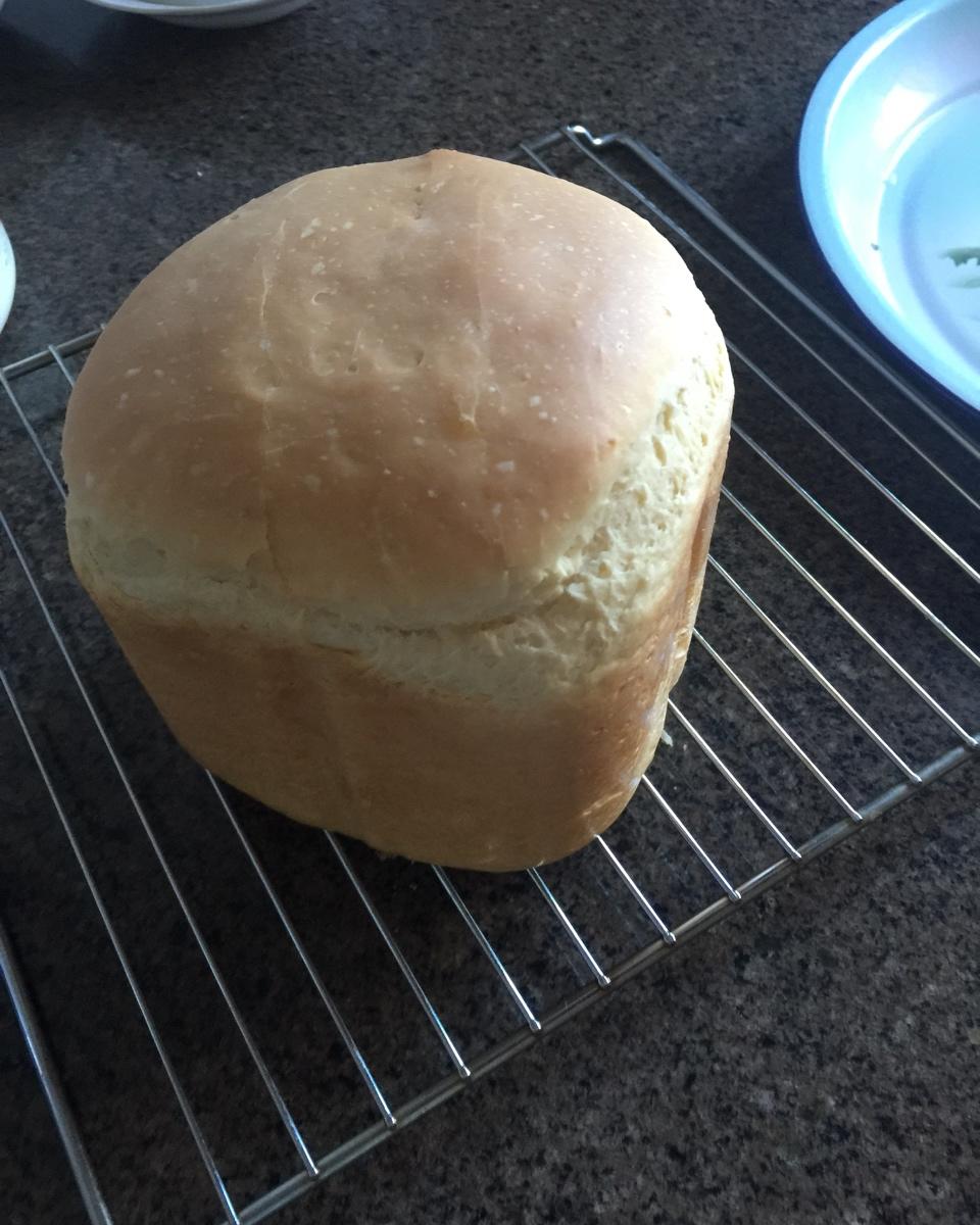 百试不败面包机做面包🍞