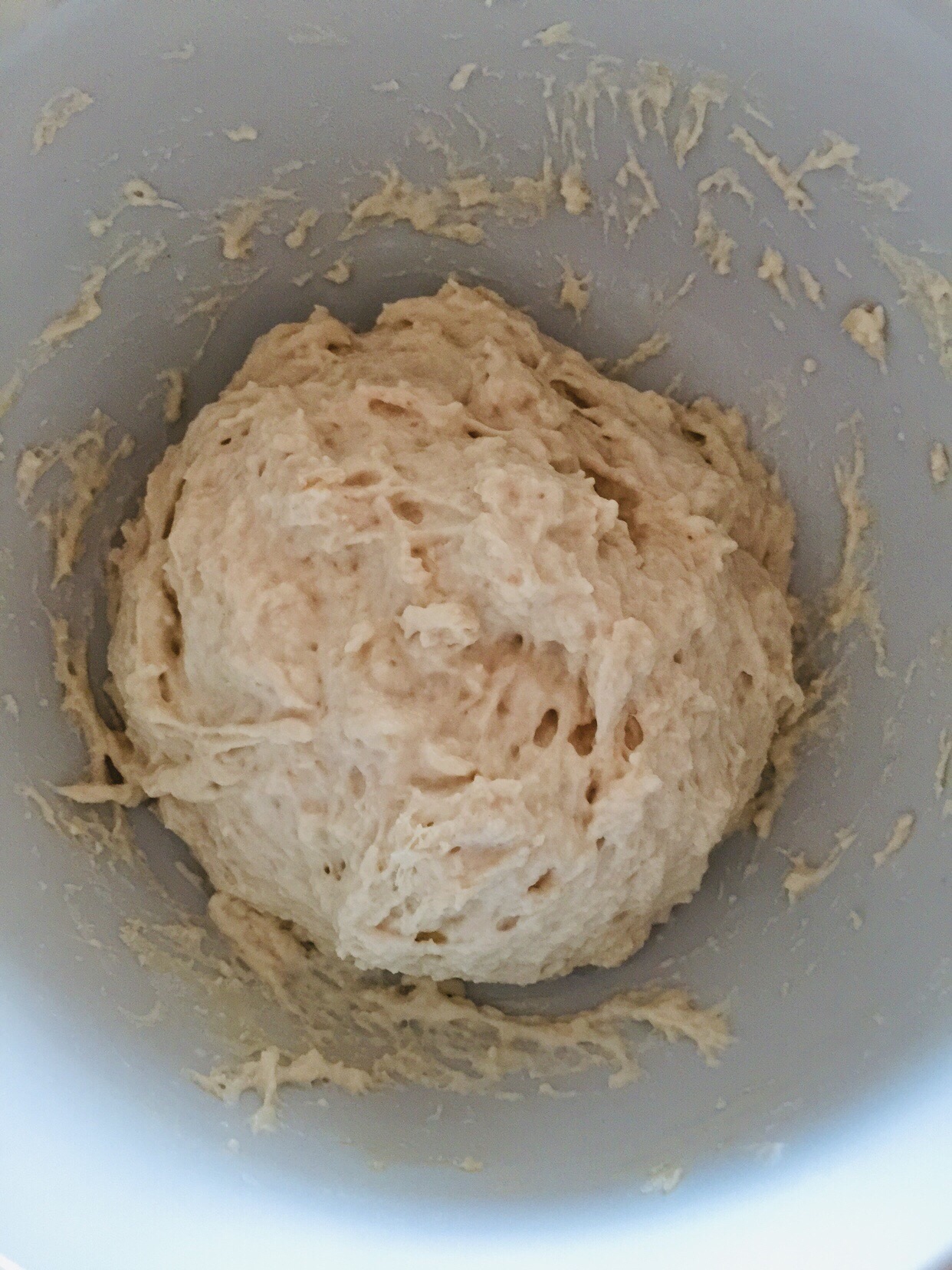 烤馒头（中粉做的面包）的做法 步骤1