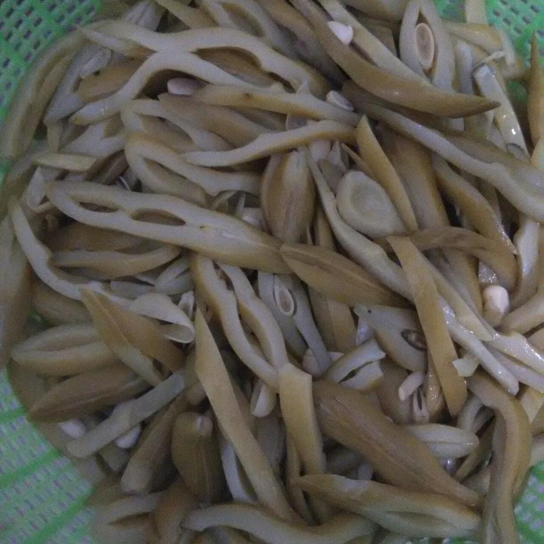 爆炒猫猫豆