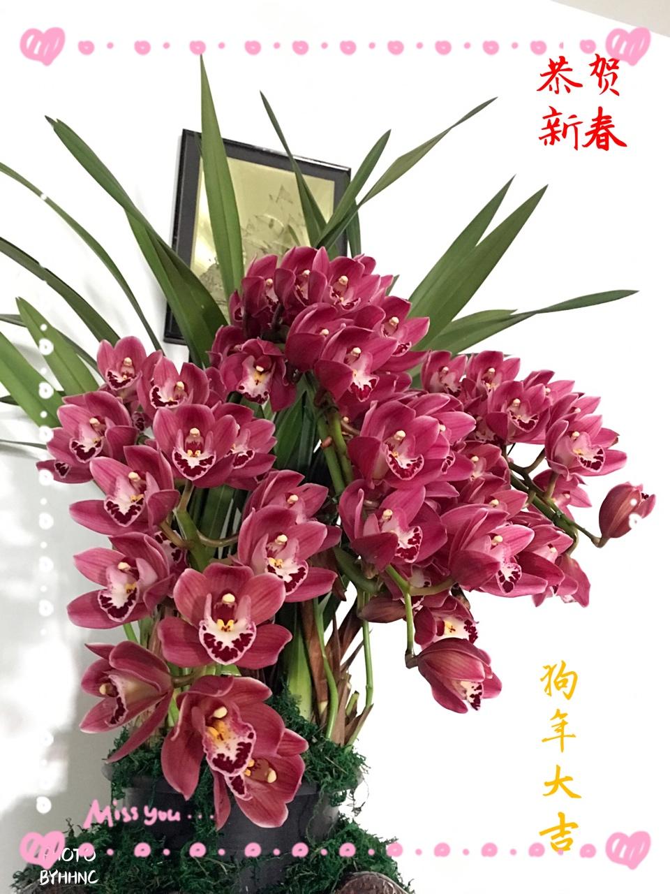 春节丨过大年