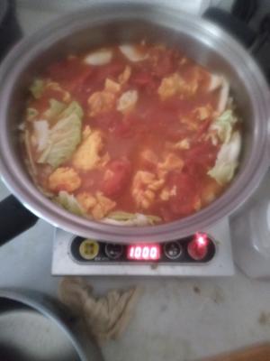 白菜番茄鸡蛋炒红薯粉的做法 步骤4