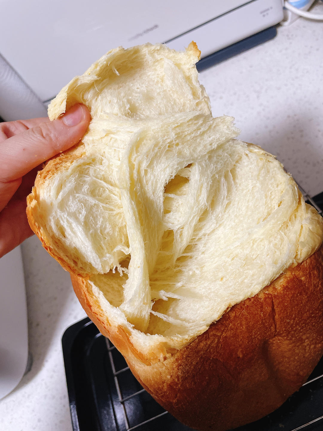 面包机做酸奶吐司