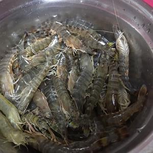 鹭鹭小海鲜－白灼斑节虾的做法 步骤2