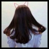 小星星_7vpo
