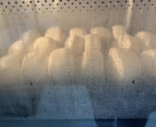 馒头(厨师机➕蒸烤箱)的做法