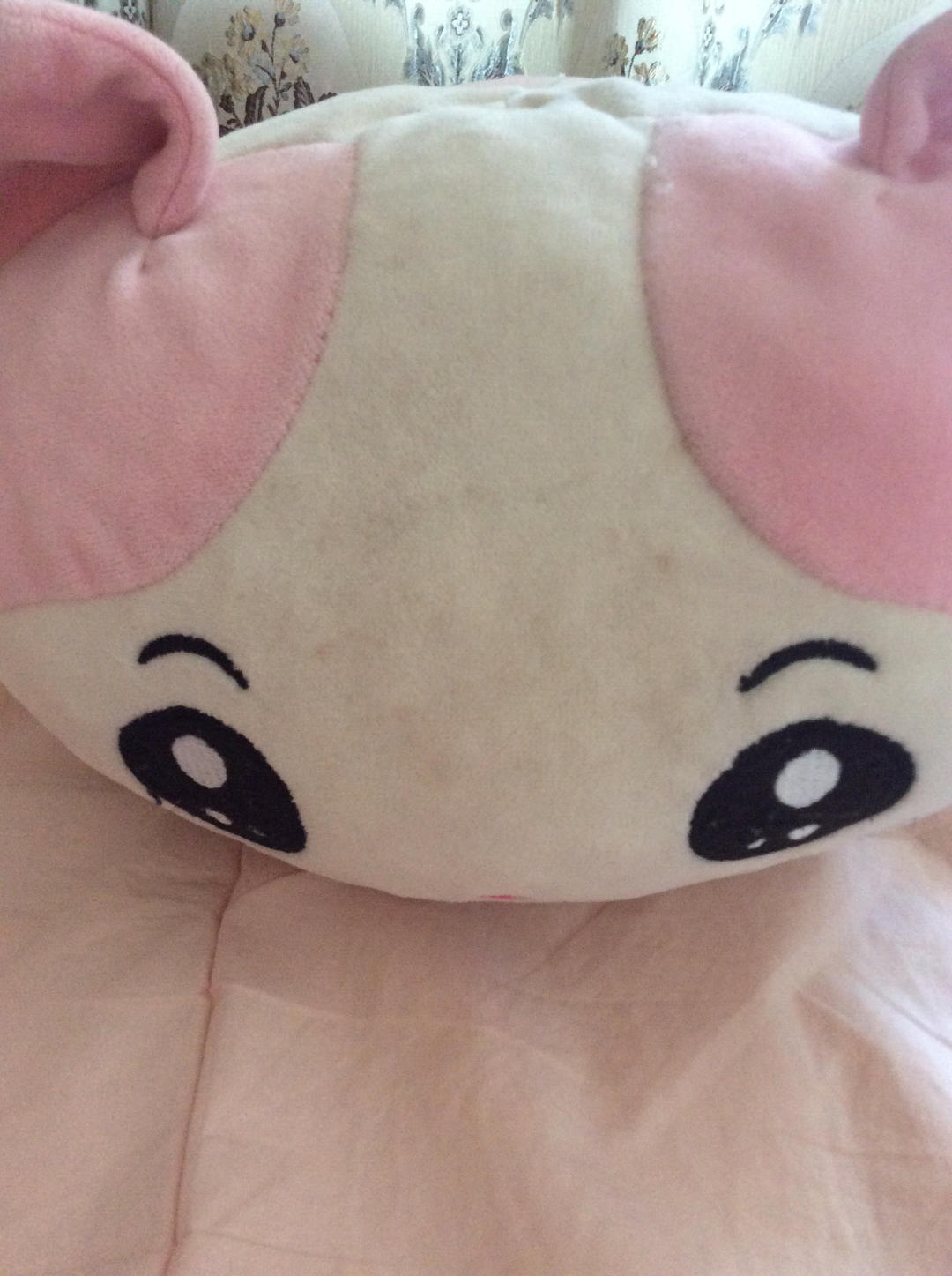 爱喝橙汁的猫小桃