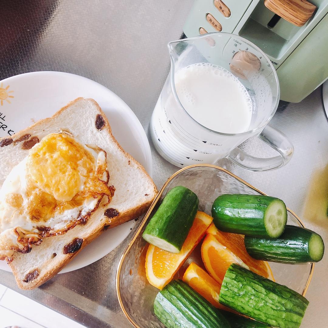 一狗二人三餐四季