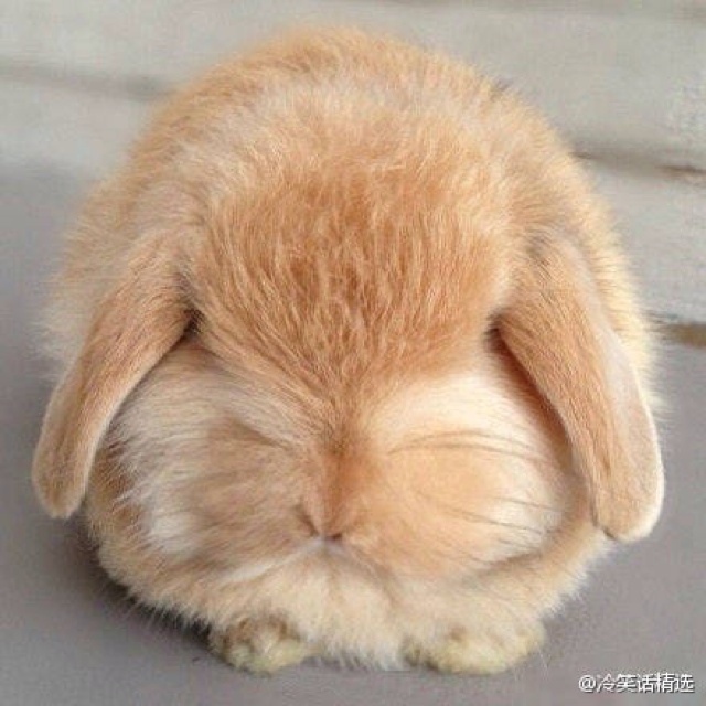 天生尤鱼