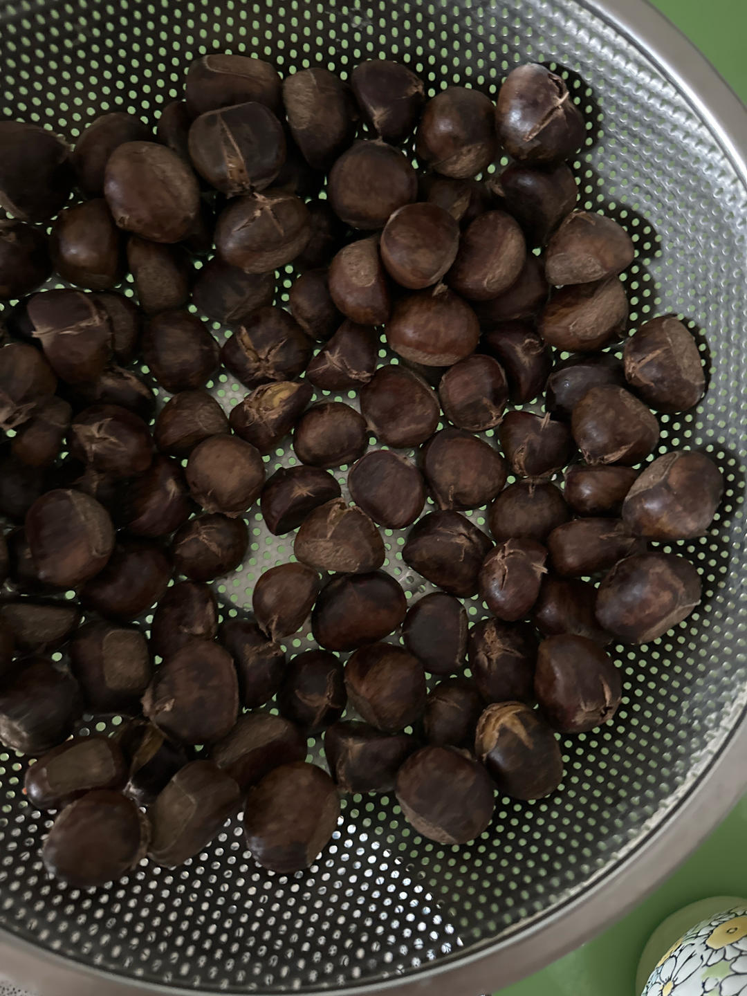 水煮小栗子（开花咯～）