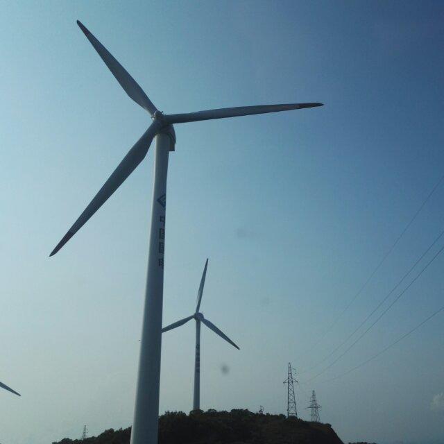 大家都在同一屋檐下