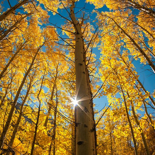 手机用户6930_6ud2