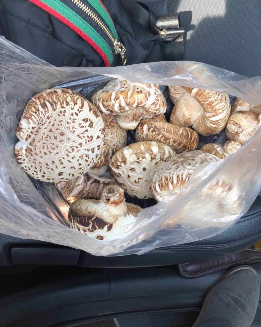 花菇煲鸡汤