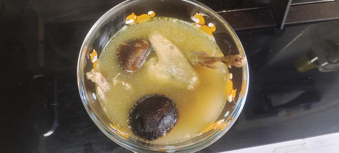 炖白鸽汤