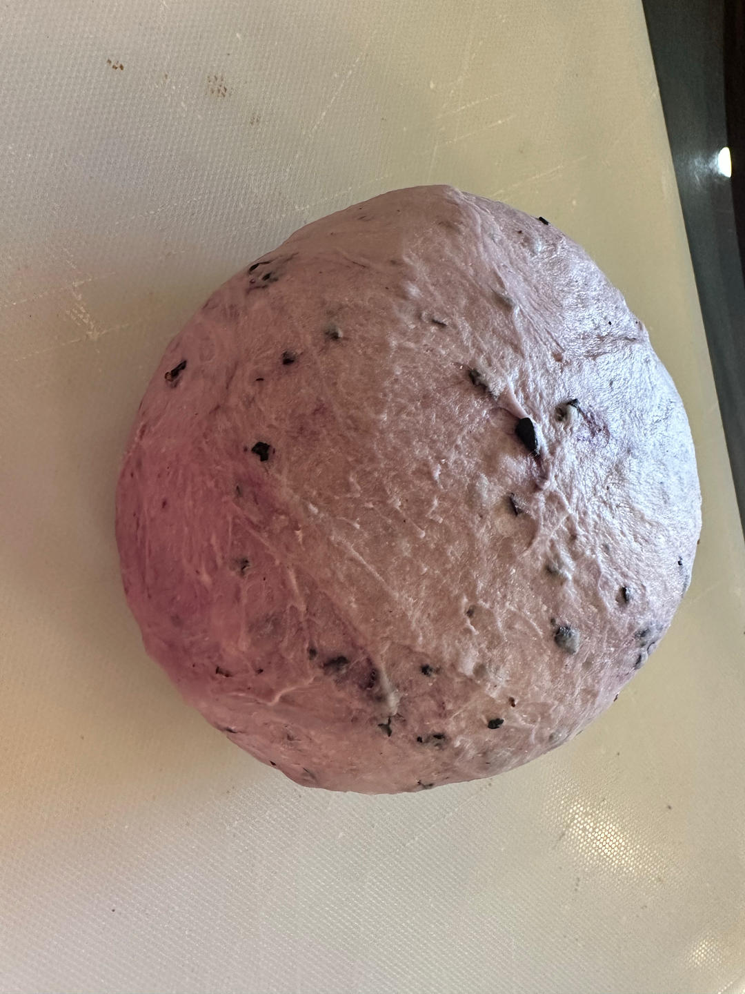 满满花青素的蓝莓贝果