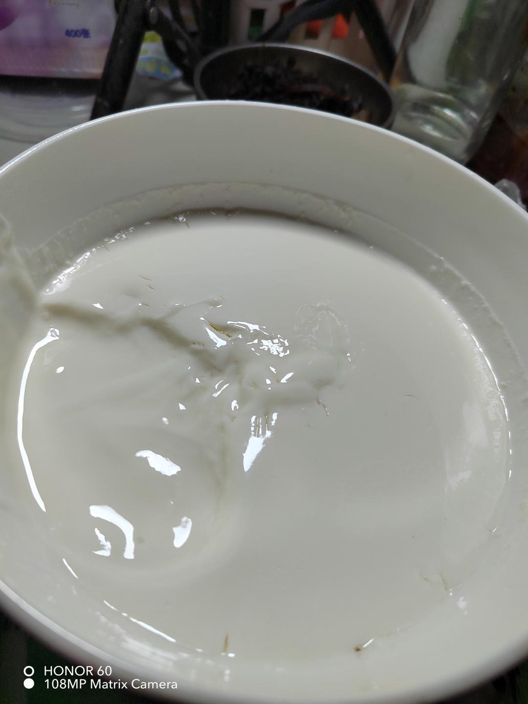 自制酸奶简述