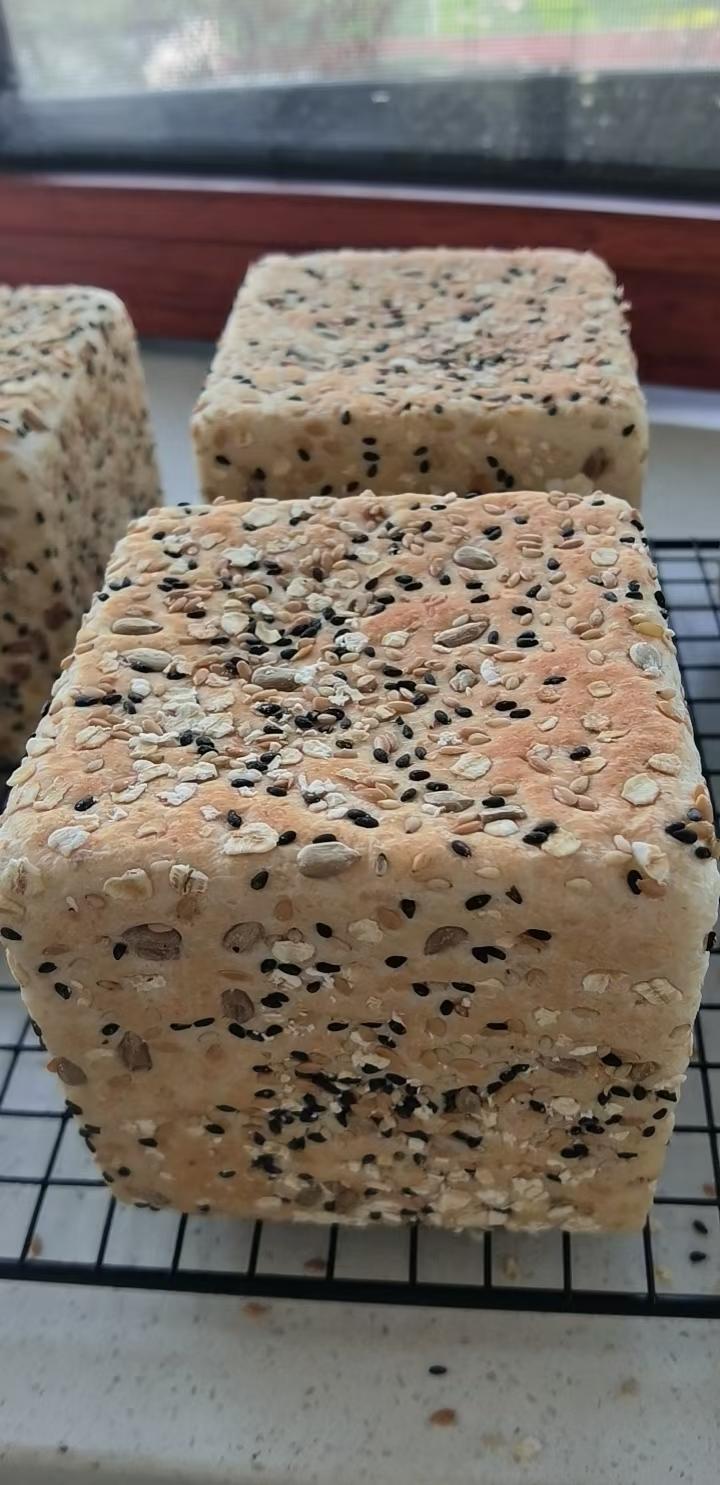 波兰种全麦吐司（40%全麦）
