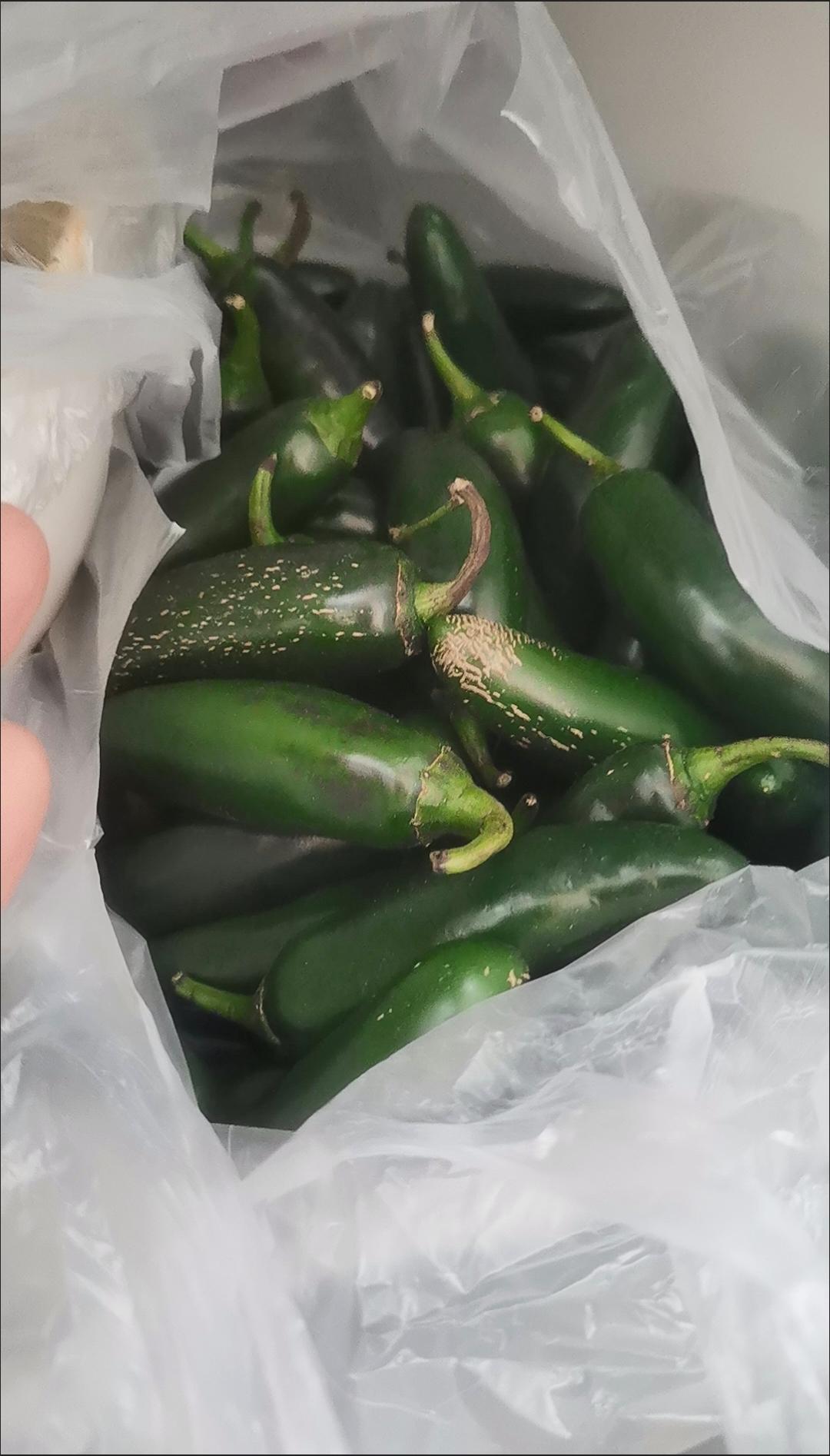 腌港椒