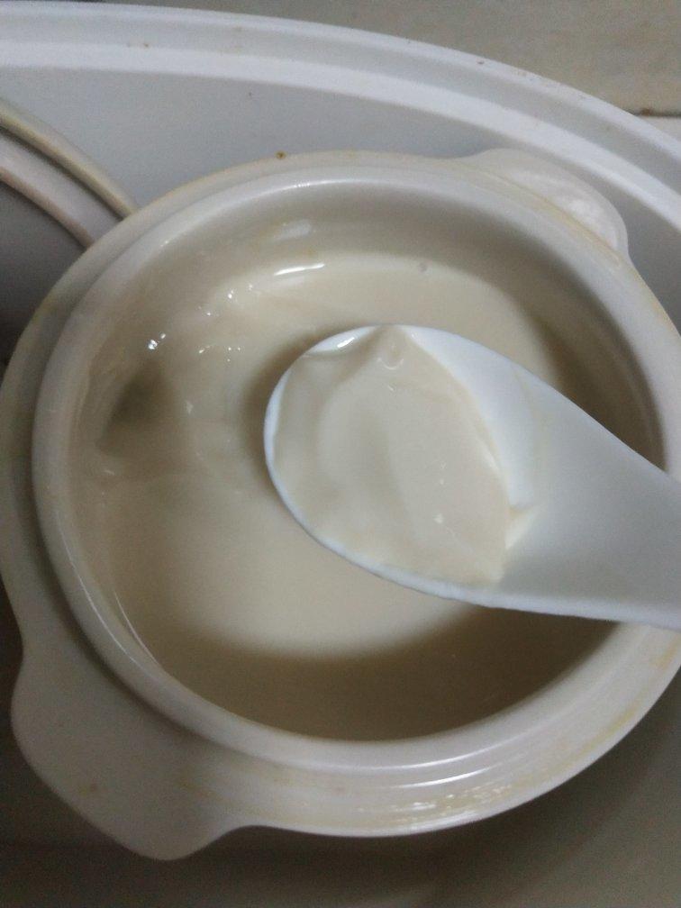 ✨史上最强💥去腥泡发炖🍮牛奶花胶冻🍮