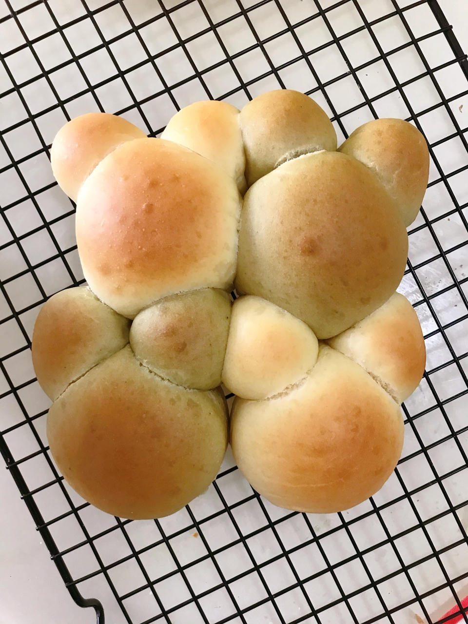 一次发酵网红小熊挤挤面包简单易做