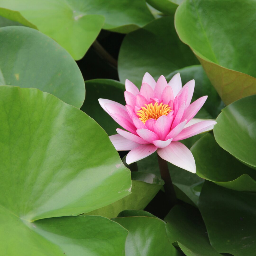 手机用户8941_i78t