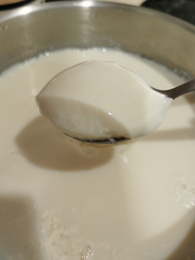 儿时的味道：小美制豆腐脑（内附豆腐做法）的做法 步骤12