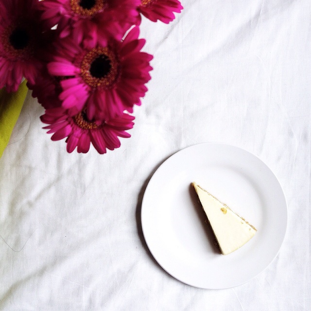 香橙冻芝士蛋糕