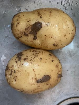 芝士焗咖喱鸡蛋土豆（空气炸锅版）的做法 步骤1