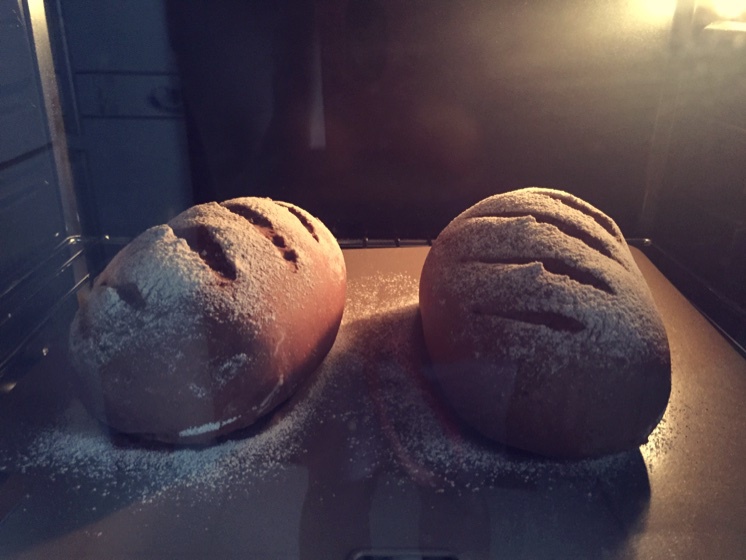 黑麦蔓越莓软欧包