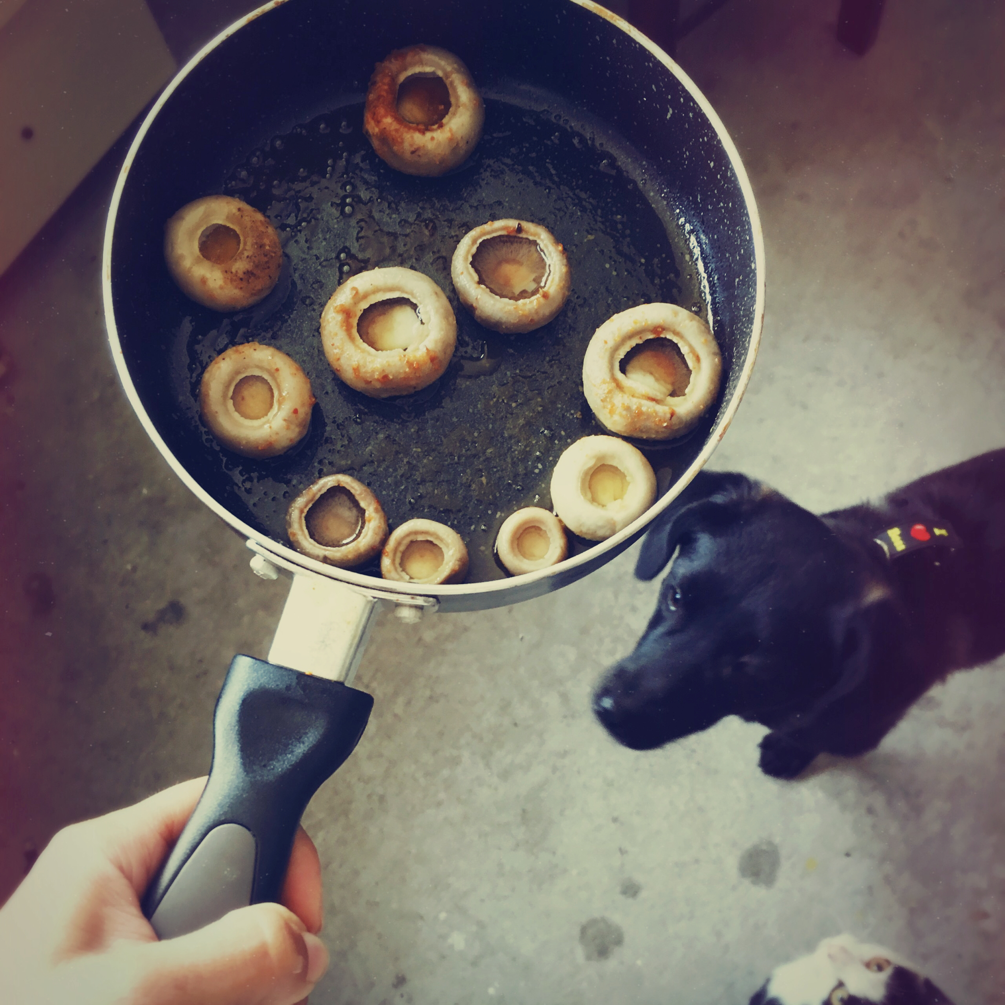 原汁原味的蘑菇