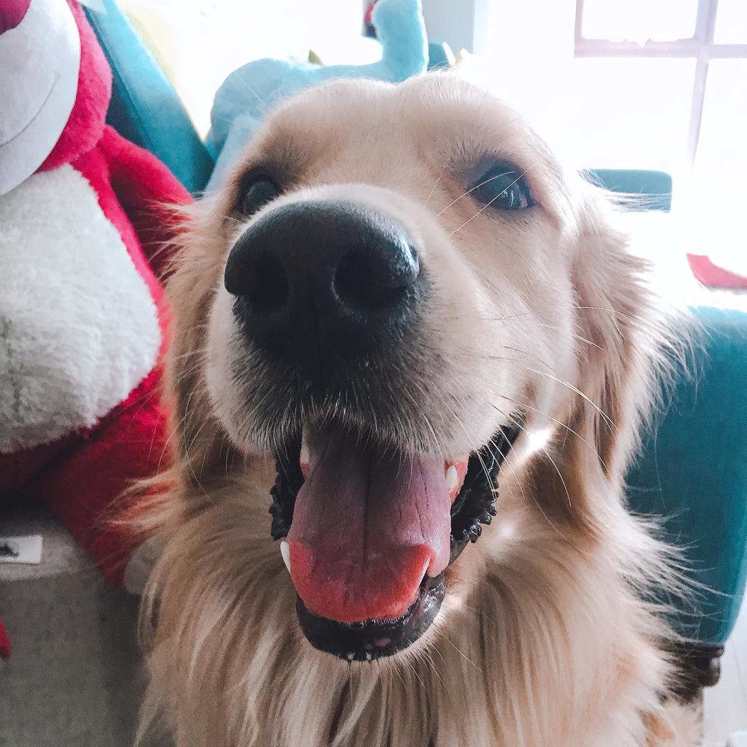 大靜一切从头开始丶