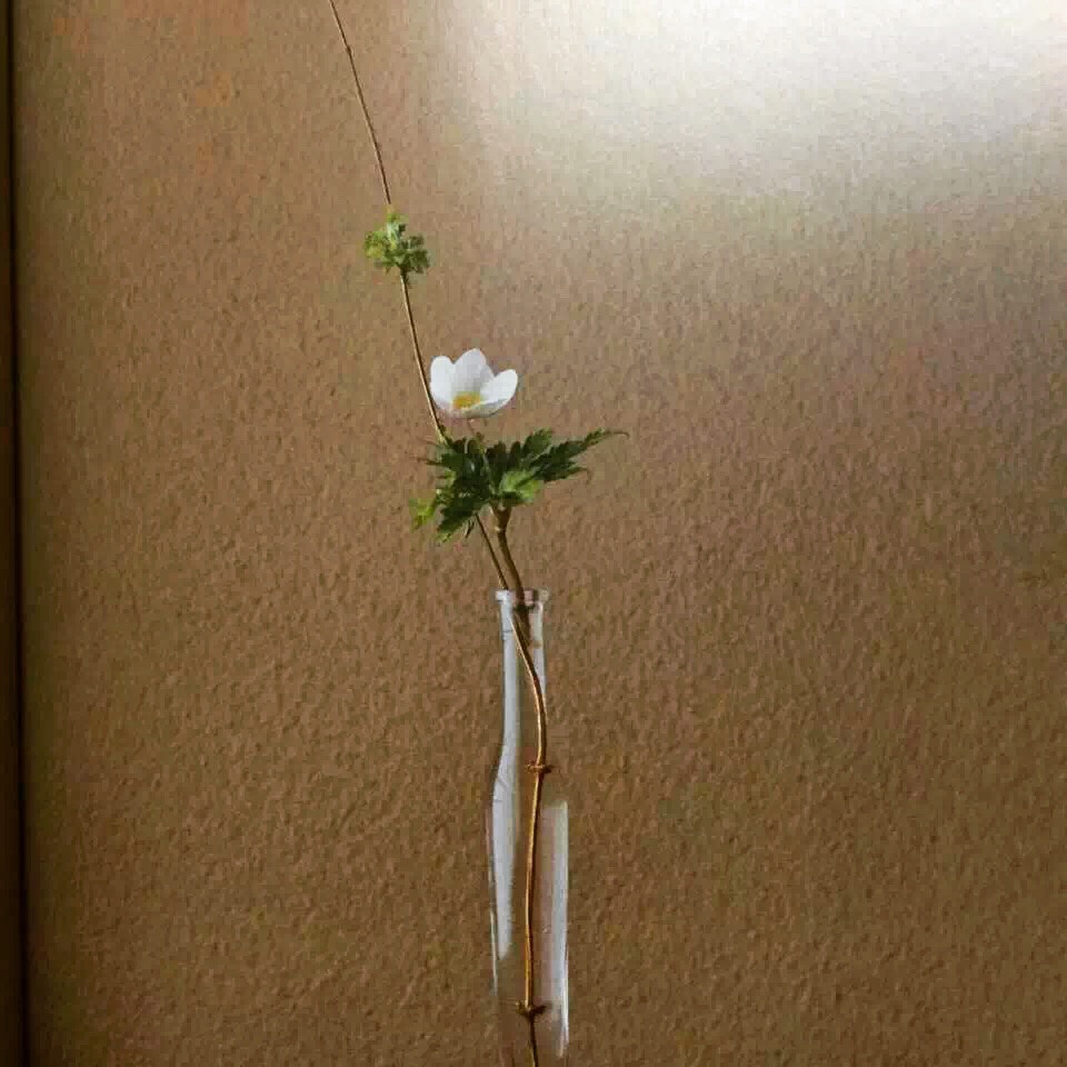 童潼姐姐