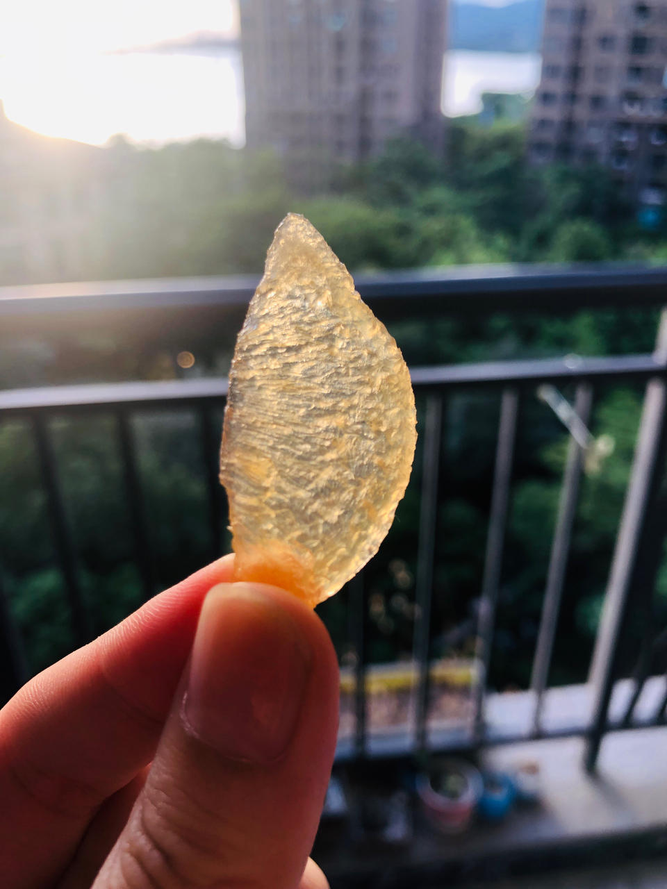 桃子果脯 桃子干