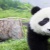 吹泡泡De泡泡