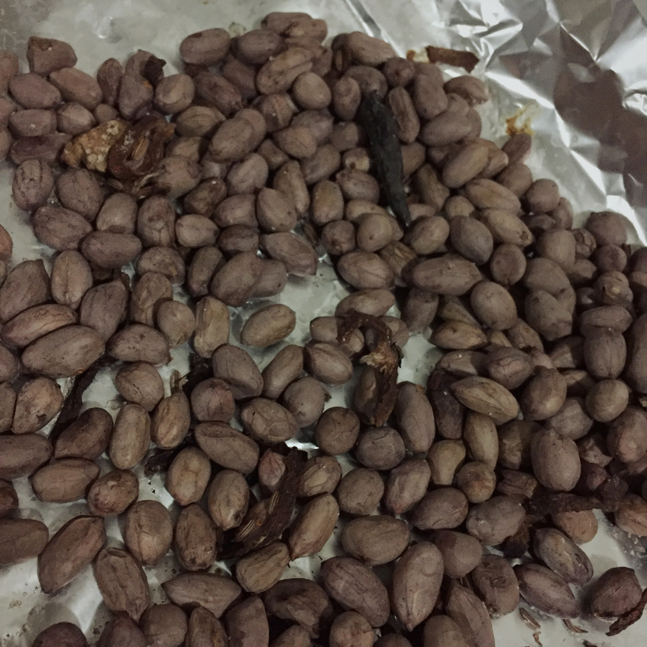 烤箱版盐焗花生