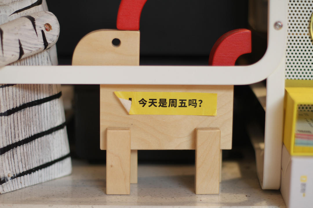 是个小厨子吖吖