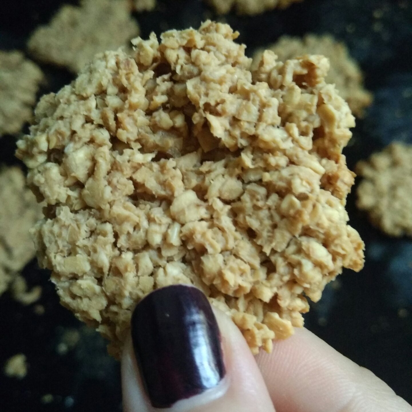 减肥零食燕麦饼干