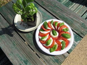意式西红柿沙拉Caprese Salad - 黎昕的阳光厨房的做法 步骤2