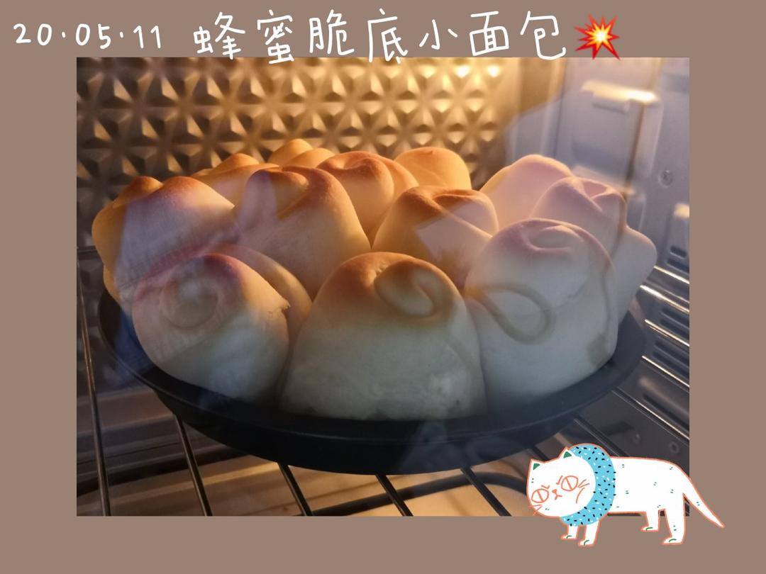 脆底蜂蜜小面包