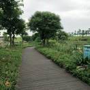 心若向阳何惧悲伤_dv6i