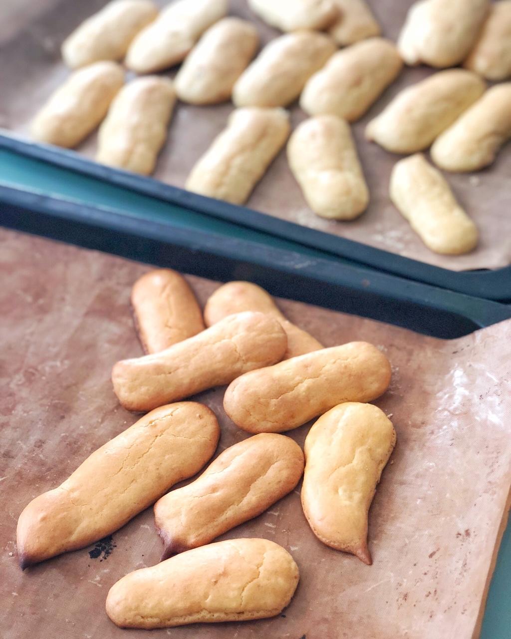 Lady Finger（手指饼干）