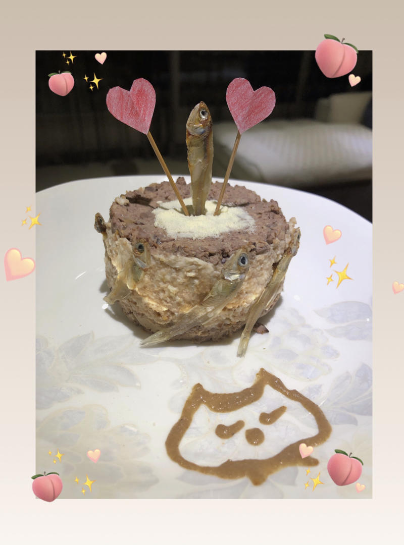 猫咪生日蛋糕←自制猫粮