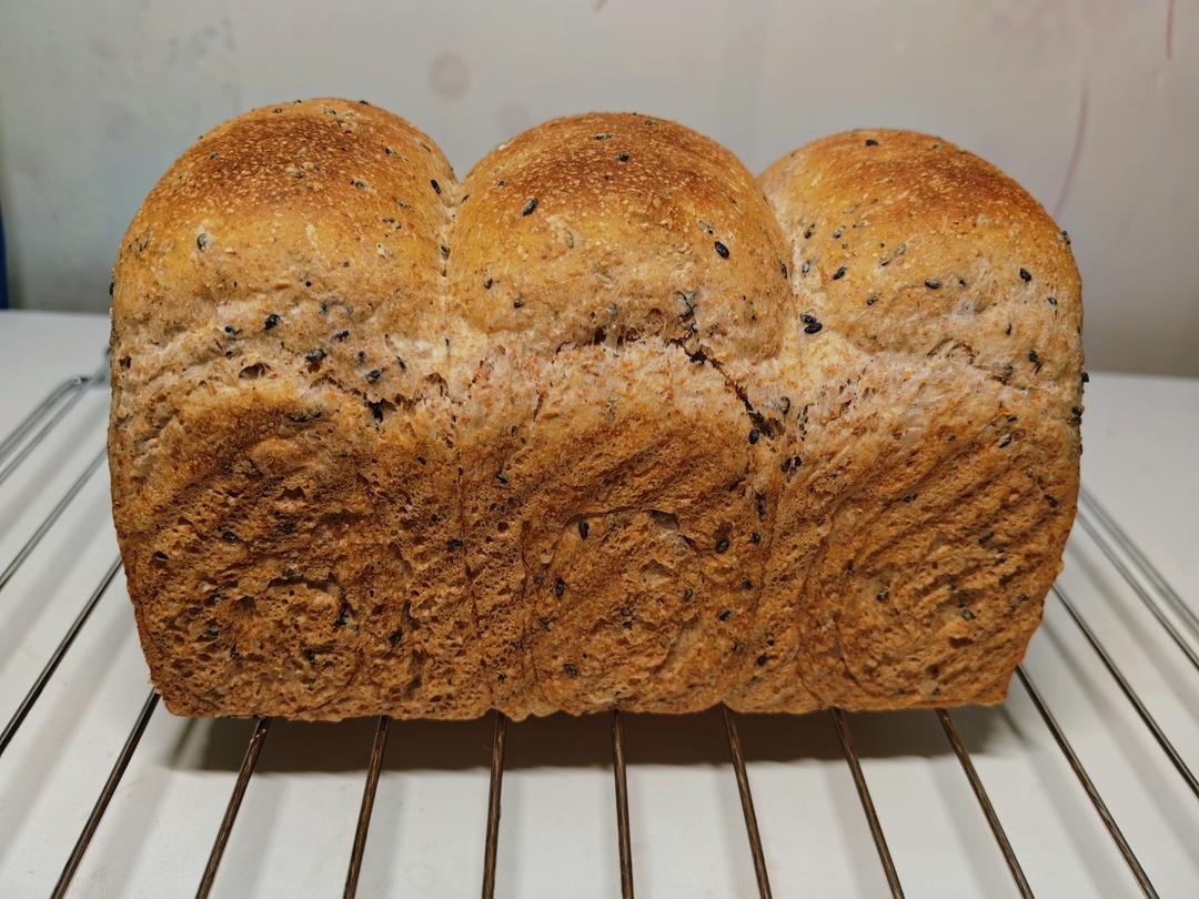 65%全麦吐司 王后粗麸/粗粒全麦粉 无奶低糖低油也可以很松软的粗粒全麦吐司