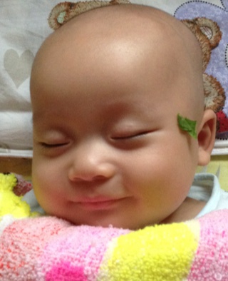 guai兔子~`